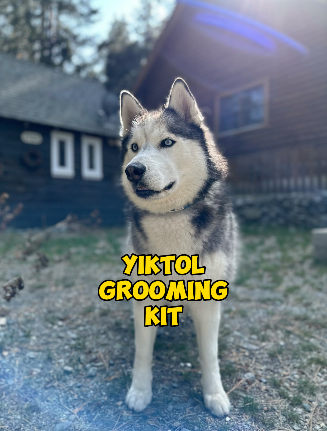 Yiktol Grooming Kit Collab